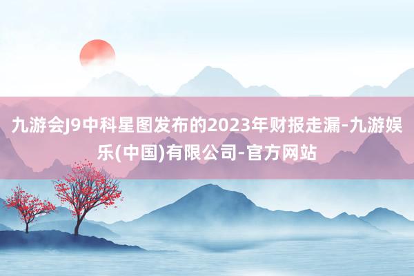 九游会J9中科星图发布的2023年财报走漏-九游娱乐(中国)有限公司-官方网站