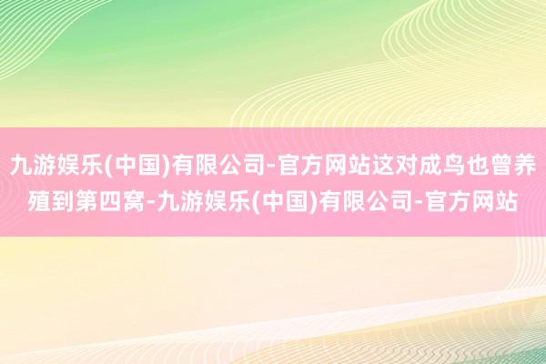 九游娱乐(中国)有限公司-官方网站这对成鸟也曾养殖到第四窝-九游娱乐(中国)有限公司-官方网站