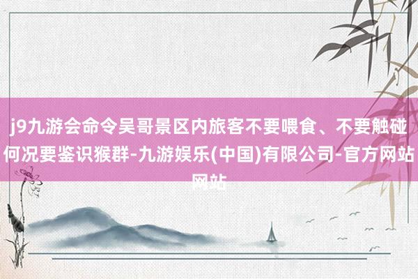 j9九游会命令吴哥景区内旅客不要喂食、不要触碰何况要鉴识猴群-九游娱乐(中国)有限公司-官方网站